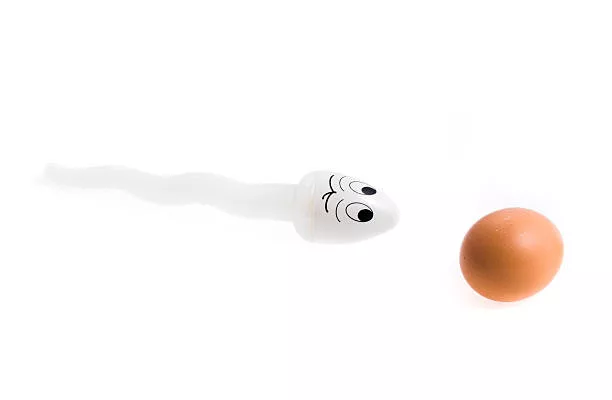犀利士會損害男性生育能力嗎?全面解析他達拉非對精子健康的影響